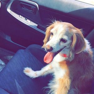 Meet your Posher, Arvand